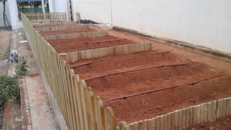 Avanzamos los proyectos de innovación