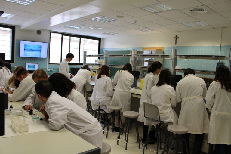 Listas provisionales de admitidos a E.S.O./Bachillerato