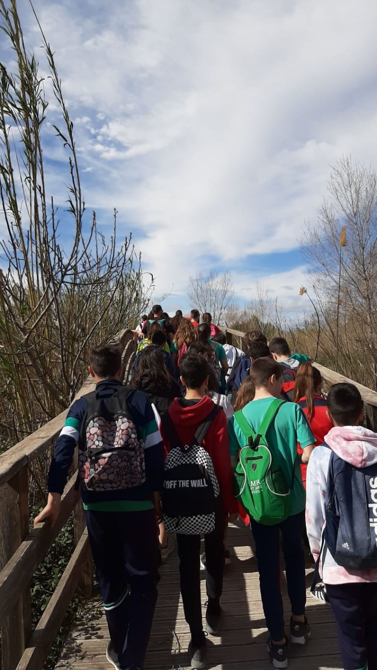 IX Marcha diocesana