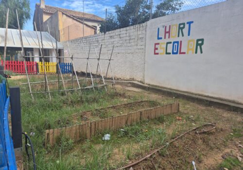 Imagen Huerto Escolar PIIE - ANTES